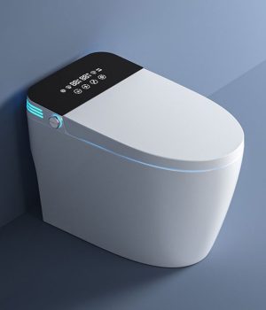 Modern Sanitary Wares Electric Bidet Heated Toilet Bathroom Elongated Automatic Intelligent Smart___